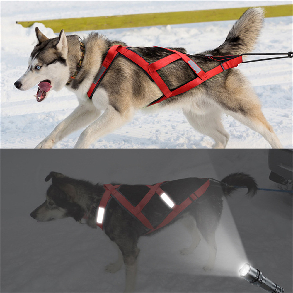 High Quality Big Dog Sledge Ha - Reflective Jacket Running 评论和价格