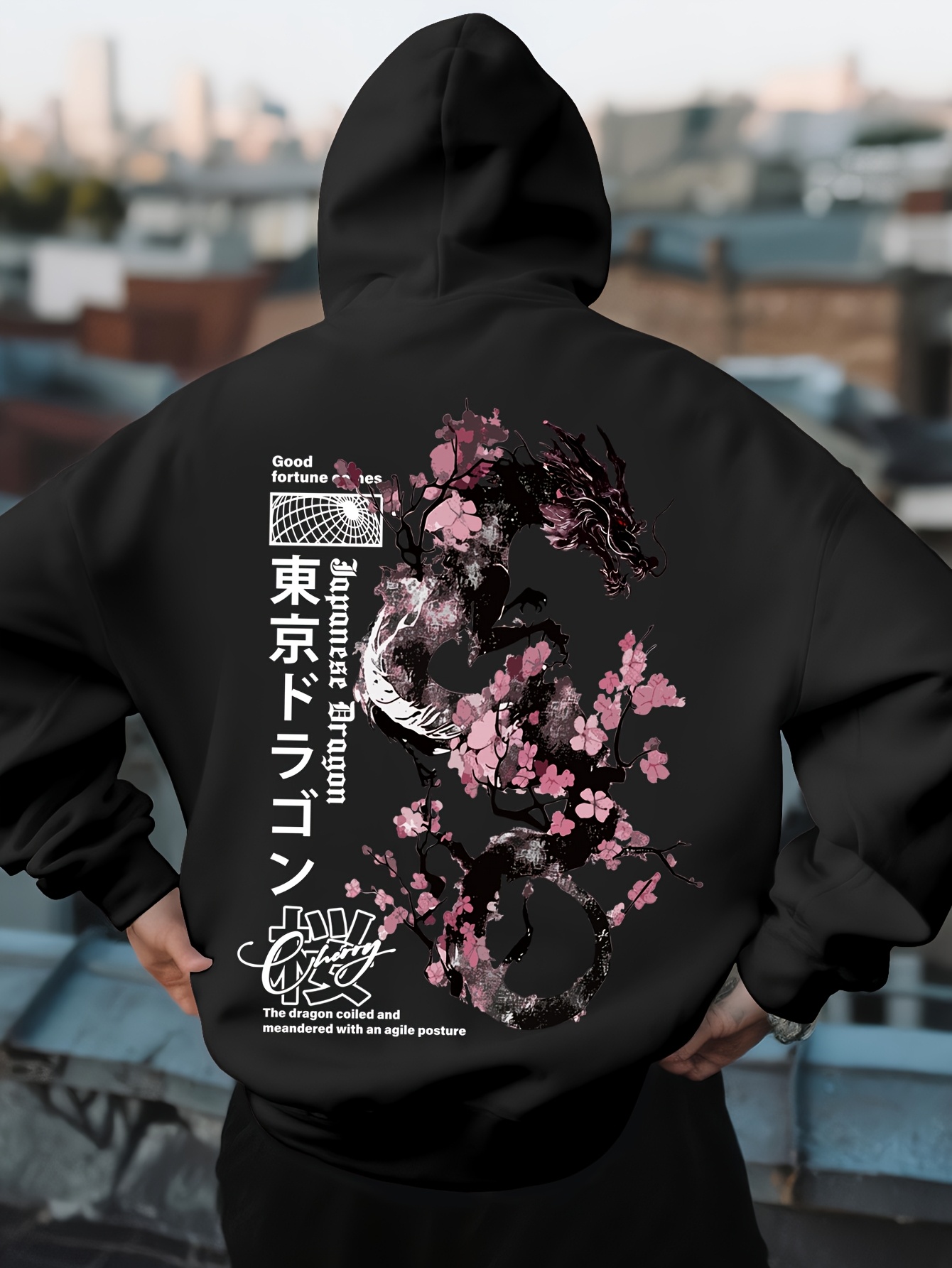 Mens Hip Hop Sports Hoodie Aes - Street Fashion Asian Men 评论和价格