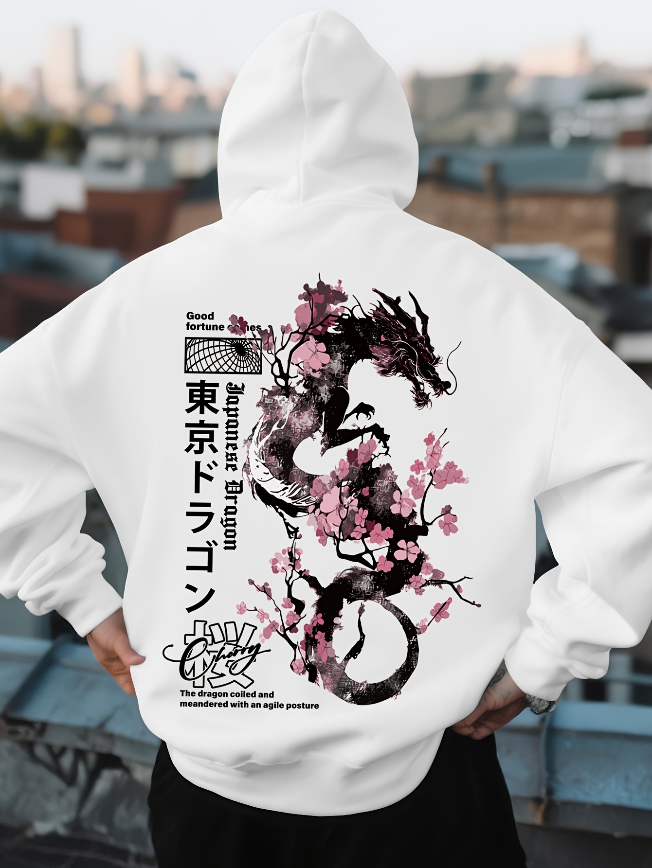 Mens Hip Hop Sports Hoodie Aes - Street Fashion Asian Men 评论和价格